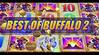 BEST OF BUFFALO SLOTS 2: Just Handpays on Buffalo Link, Buffalo Diamond, Buffalo Gold, Buffalo Revol