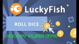 LuckyFish.io  A unique method of earning Ethereum  PROFIT 1.31 ETH