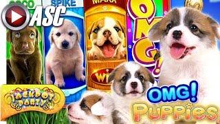 Jackpot Party – OMG! Puppies!: Albert’s Slot Game Review