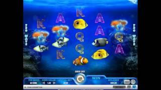 Pacific Paradise - Onlinecasinos.Best