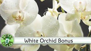 White Orchid slot machine bonus