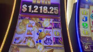 Buffalo Grand $18.75/Spin With Big Wins - High Limit Slot Play