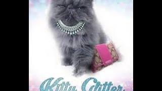 $30 bet *HIGH LIMIT* Kitty Glitter slot machine Big win bonus