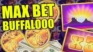 HIGH LIMIT BUFFALO GOLD SLOT NIGHT!   Max Betting for Jackpots & Collecting Gold Buffalo Heads!