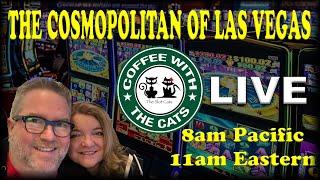 LIVE: COFFEE WITH THE CATS 01/26/2020