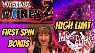 $25 BET! FIRST SPIN BONUS-HIGH LIMIT GAME FUN