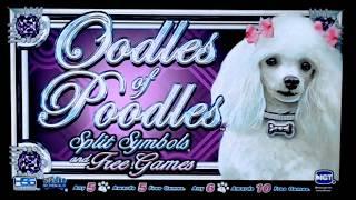 Oodles of Poodles High Limit Slot Play
