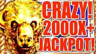 • MASSIVE JACKPOT! • MY BIGGEST HANDPAY BUFFALO GOLD | Slot Traveler