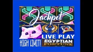 NEW SLOTS  FELINE FORTUNES   AND EGYPTIAN FORTUNES, HIGH LIMIT LIVE PLAY AND  JACKPOT!