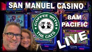 LIVE: Coffee with the Cats 08/11/2019
