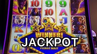BUFFALO CHIEF JACKPOT AT CHOCTAW! #choctaw #casino #slots