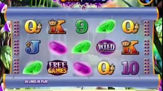 Cash Wizard Slot Bally - New online Slots