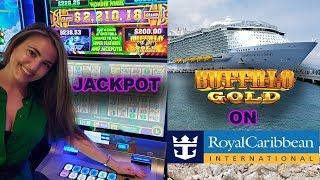 My BIGGEST Slot Machine Handpay Jackpot on Buffalo Gold on Royal Caribbean