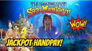 First Jackpot Handpay This Year on Sea Monkeys!