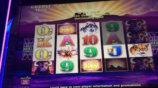 Buffalo & Buffalo Gold Wonder 4 Slot Machine Bonuses - 3 Multipliers!!