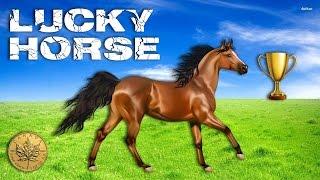 Lucky Horse - live play w/ bonus - 2c denom - Slot Machine Bonus