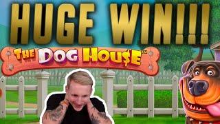 HUGE WIN! Dog House BIG WIN - Casino Games from Casinodaddys live stream