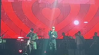 Madness XL Tour 21/6/19 Newmarket "It must be love"