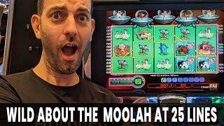 WILD About the Moolah at 25 Lines!  + Lightning Cash Magic Pearl