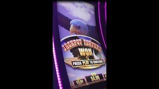 BIG WIN - Buffalo Grand Slot Machine Bonus