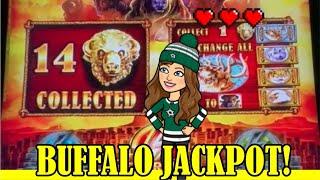 Max Bet on Wonder 4 Boost Gold - Buffalo Gold! Handpay Jackpot! Aria Las Vegas