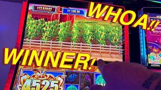 I WON THAT MUCH AGAIN!!!!