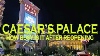 Caesar's Palace Las Vegas - How Busy Is It After Reopening