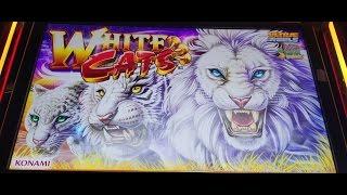 *ULTRA REELS* (KONAMI)  "WHITE CATS" FREE SPINS!!