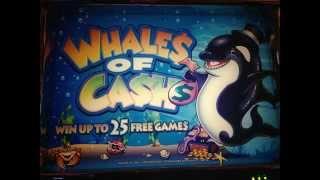 Whales of Cash Slot machine Lover MY ONE MONTH STORY 5￠Slot $2.50 Bet