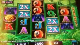 Not giving up ! Prowling Panther Slot machine (IGT)  BIG BONUS WIN $2.50 Bet