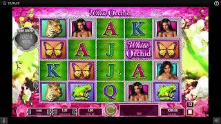 White Orchid slot machine by IGT gameplay  SlotsUp