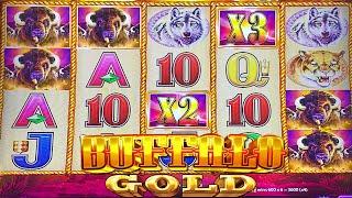 BUFFALO GOLD SLOT MACHINE BONUS BIG WIN Aristocrat Slots
