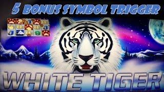 ARISTOCRAT WHITE TIGER SLOT MACHINE - 5 BONUS SYMBOL TRIGGER - BIG WIN!