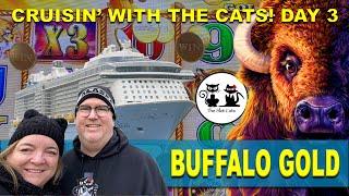 DAY 3-CRUISING WITH THE CATS! JUNEAU,WHALES & PLAYING BUFFALO GOLD WITH FRIENDS! OVATION OF THE SEAS