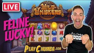 I'M FELINE LUCKY!!!  Check out this NEW GAME ⫸ Wild Whiskers