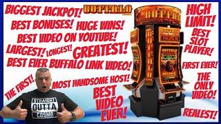 Biggest/BEST BUFFALO LINK Video On YouTube! Also the: Longest, Highest, Friendliest, First, Last