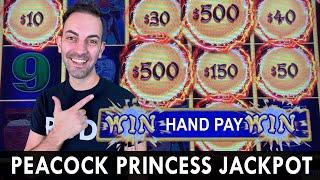 JACKPOT WIN on Dragon Link  Peacock Princess delivers the beautiful bounty