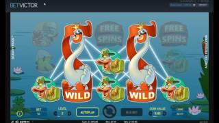 Online Slots with The Bandit - Wild Water, Scruffy Duck and The Cash Draw Winners