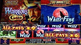 Warrior's Gate & Big win FREE SPINS NEW **WHITE FANG** PAY BOOSTER