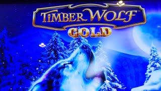 Live Play on Timber Wolf Gold!