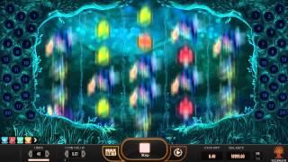 Magic Mushrooms slot game by Yggdrasil | Gameplay video by Slotozilla
