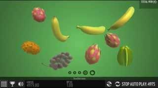 Fruit Warp - Onlinecasinos.Best