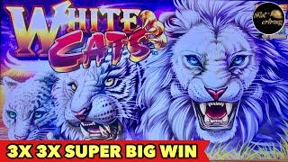 ️KONAMI WHITE CATS SUPER BIG WIN️Explore to Grand Portage Casino | 39 Mins Away From CANADA Border