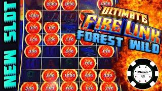 NEW SLOT! Ultimate Fire Link Forest Wild HIGH LIMIT GREAT SESSION $30 BONUS ROUND