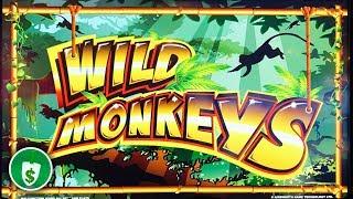 Wild Monkeys WA VLT slot machine