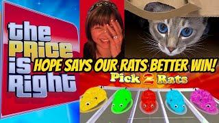 BIG WIN ON LAST SPIN BONUS! PRICE IS RIGHT