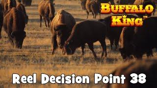 Buffalo King - Reel Decision Point 38 - More Amazing Wins !