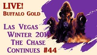 The Quest for 15 - Buffalo Gold #44 - LIVE!