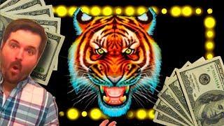 NEW SLOT ALERT!!! LIVE PLAY on Tiger Strike Slot Machine with Bonuses