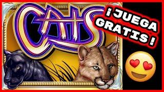 Tragamonedas CATS  UN CLÁSICO!  Juegos de Casino Gratis